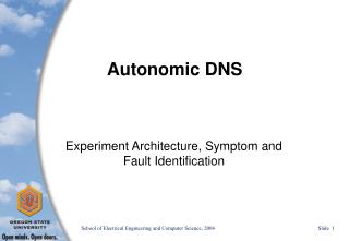 Autonomic DNS