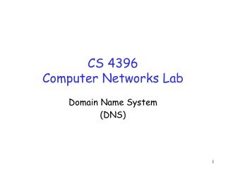 CS 4396 Computer Networks Lab