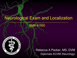 Neurological Exam and Localization