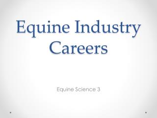 Equine Industry Careers