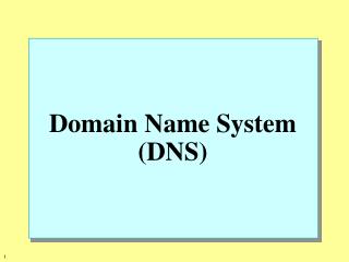 Domain Name System (DNS)