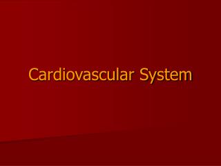 Cardiovascular System