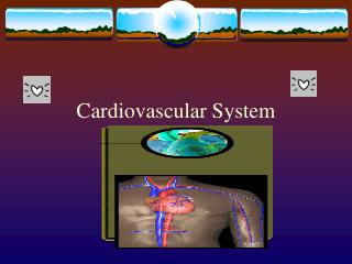 Cardiovascular System