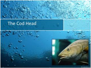 The Cod Head