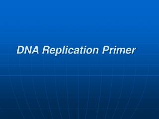 DNA Replication Primer