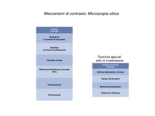 Meccanismi di contrasto: Microscopia ottica