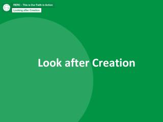 Look after Creation