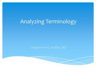Analyzing Terminology