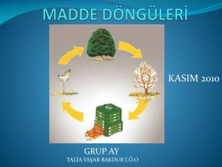 MADDE DÖNGÜLERİ