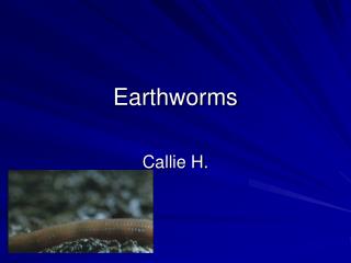 Earthworms