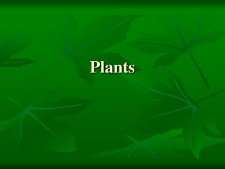 Plants