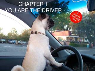 CHAPTER 1 YOU ARE THE DRIVER