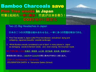 Bamboo Charcoals save Pine Tree woods in Japan 竹害と松枯れ 一挙に解決！ 竹炭が日本を救う！ CO2 を地中に固定化