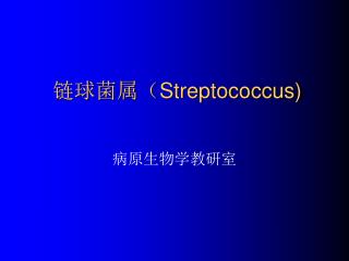 链球菌属（ Streptococcus)