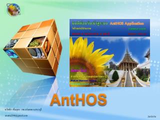 AntHOS