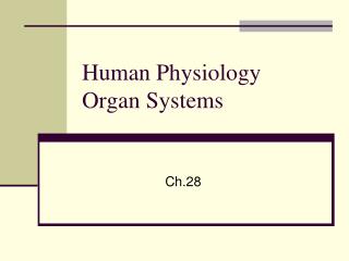 Human Physiology Organ Systems