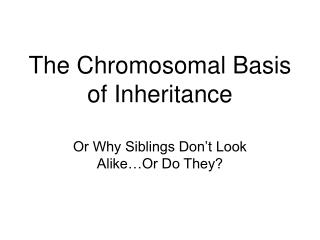 The Chromosomal Basis of Inheritance