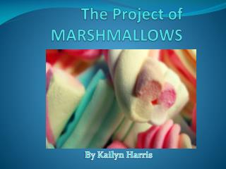 The Project of MARSHMALLOWS