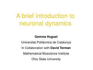 A brief introduction to neuronal dynamics