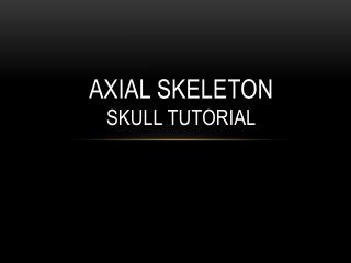 AXIAL SKELETON SKULL TUTORIAL