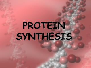 PROTEIN SYNTHESIS