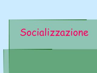 Socializzazione