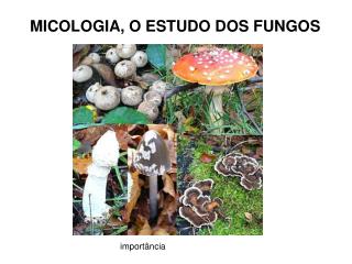 MICOLOGIA, O ESTUDO DOS FUNGOS