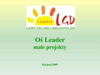 Oś Leader małe projekty listopad 2009