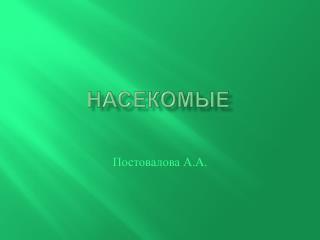 насекомые
