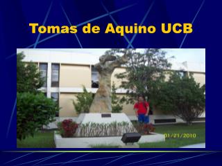 Tomas de Aquino UCB
