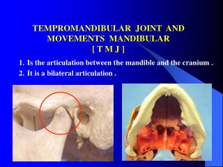 TEMPROMANDIBULAR JOINT AND MOVEMENTS MANDIBULAR [ T M J ]