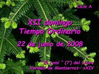 Ciclo A