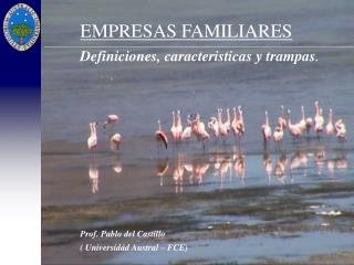 EMPRESAS FAMILIARES Definiciones, caracteristicas y trampas . Prof. Pablo del Castillo