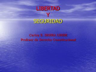 LIBERTAD Y SEGURIDAD