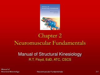 Chapter 2 Neuromuscular Fundamentals