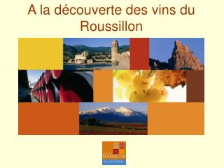A la découverte des vins du Roussillon