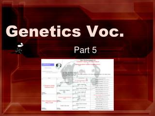 Genetics Voc.