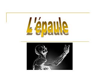 L'épaule