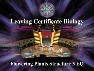 Flowering Plants Structure 3 EQ