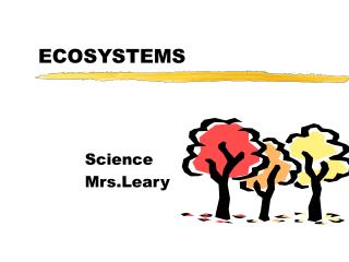 ECOSYSTEMS