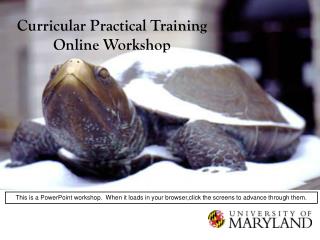 Curricular Practical Training Online Workshop