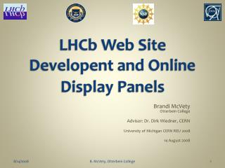 LHCb Web Site Developent and Online Display Panels