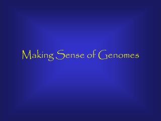 Making Sense of Genomes