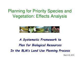 Planning for Priority Species and Vegetation: Effects Analysis