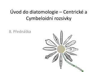 Úvod do diatomologie – Centrické a Cymbeloidní rozsivky