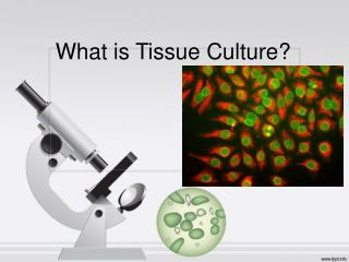 What is Tissue Culture?