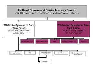 BGSystems_of_Care_Org_Chart_2008