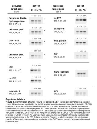 Supplemental data