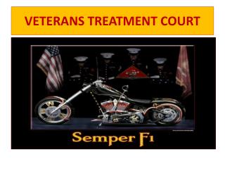 VETERANS TREATMENT COURT