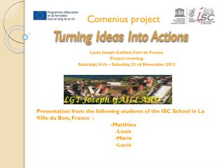 Comenius project